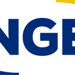 Logo de l'entreprise NGE